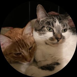 Meet your Posher, Janetzy